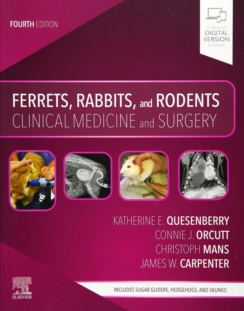 Ferrets, Rabbits, and Rodents: Clinical Medicine and Surgery 4ed