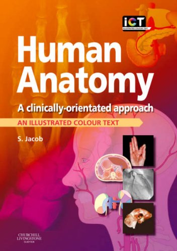 Human Anatomy: A Clinically-Orientated Approach 1ed