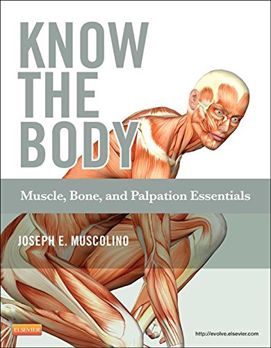 Know the Body: Muscle, Bone, and Palpation Essentials - Text and Workbook Package: 1ed