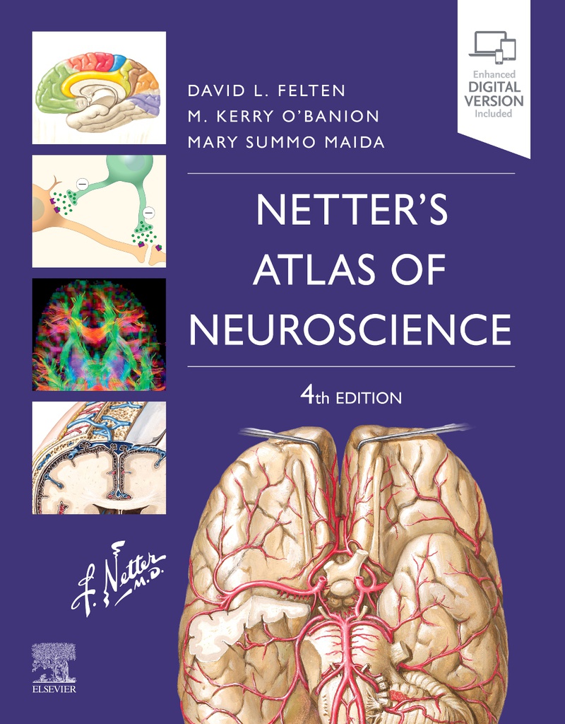 Netter's Atlas of Neuroscience:  4ed 