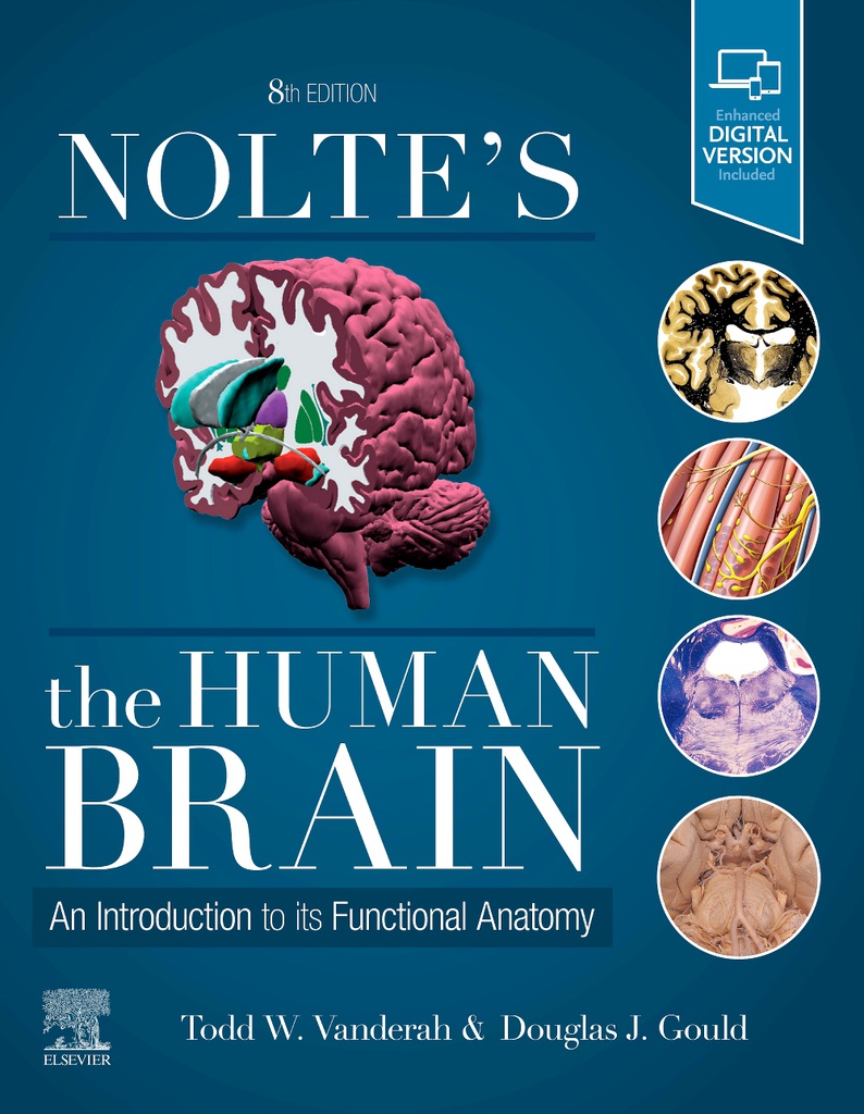 Nolte's The Human Brain: An Introduction to its Functional Anatomy, 8/e