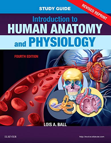 Study Guide for Introduction to Human Anatomy and Physiology - Revised Reprints: 4ed