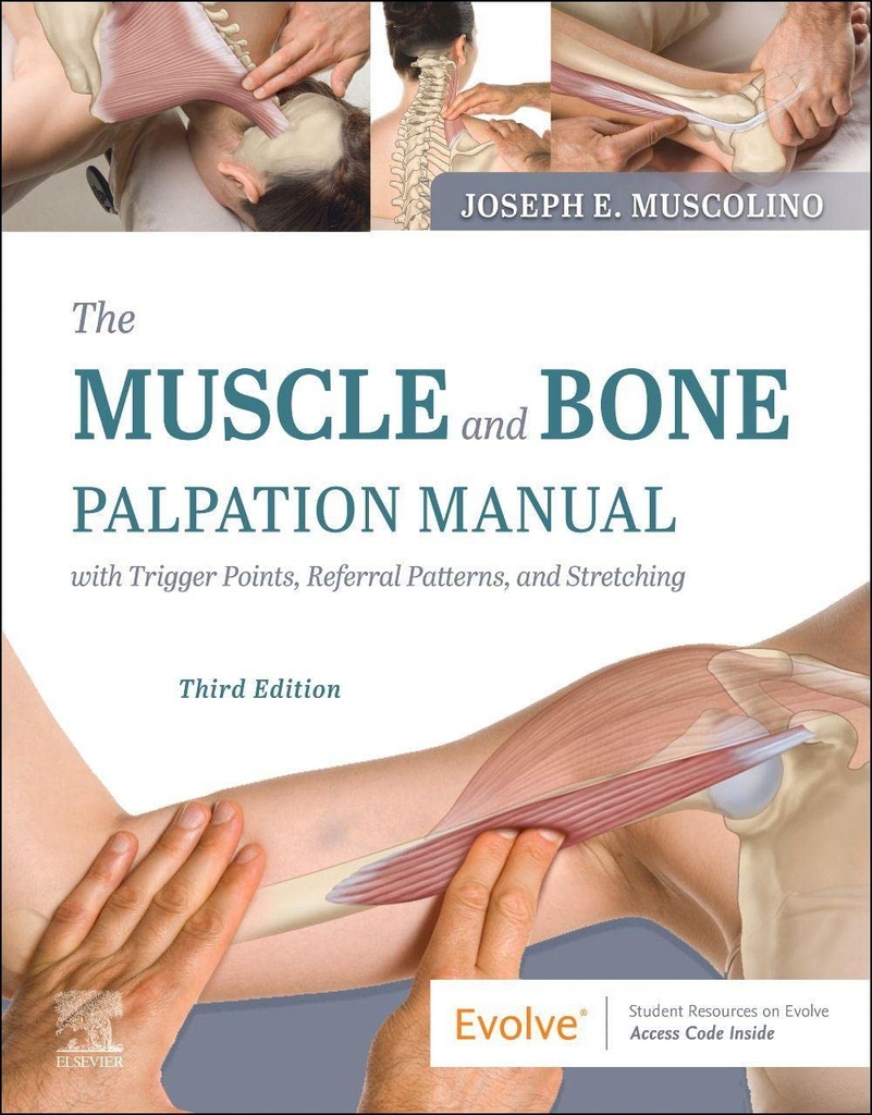 The Muscle and Bone Palpation Manual with Trigger Points, Referral Patterns and Stretching: 3ed