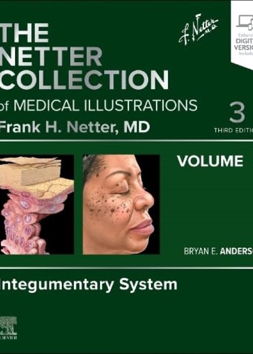 The Netter Collection of Medical Illustrations: Integumentary System, Volume 4: 3ed