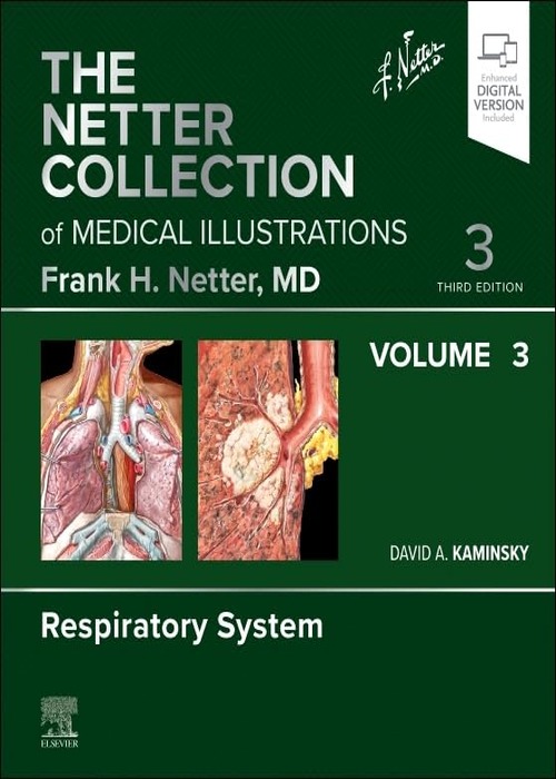 The Netter Collection of Medical Illustrations: Respiratory System, Volume 3: 3ed