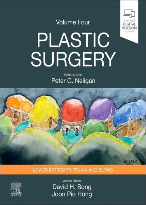 Plastic Surgery: Volume 4: Trunk and Lower Extremity 5ed