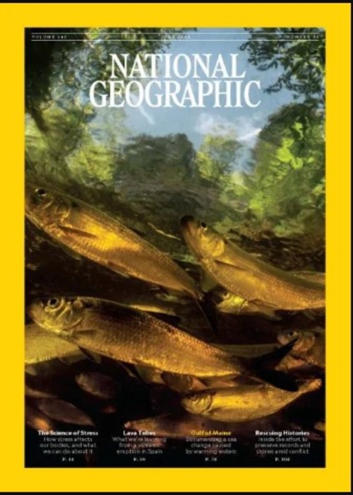 National Geographic Magazine (Jun, 2024)