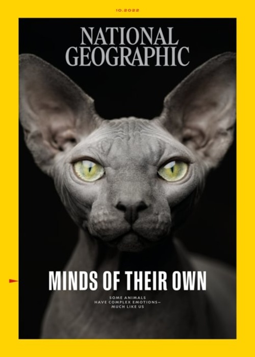 National Geographic Magazine (Oct, 2022)