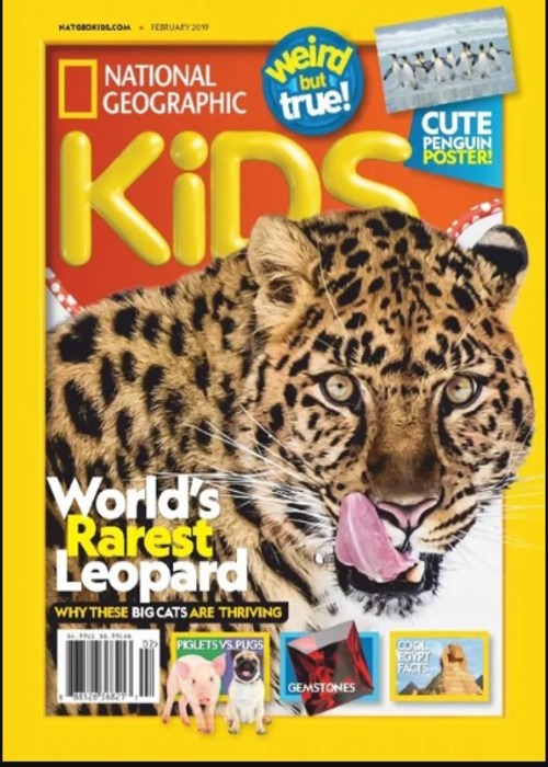 National Geographic Kids  (Feb, 2019)