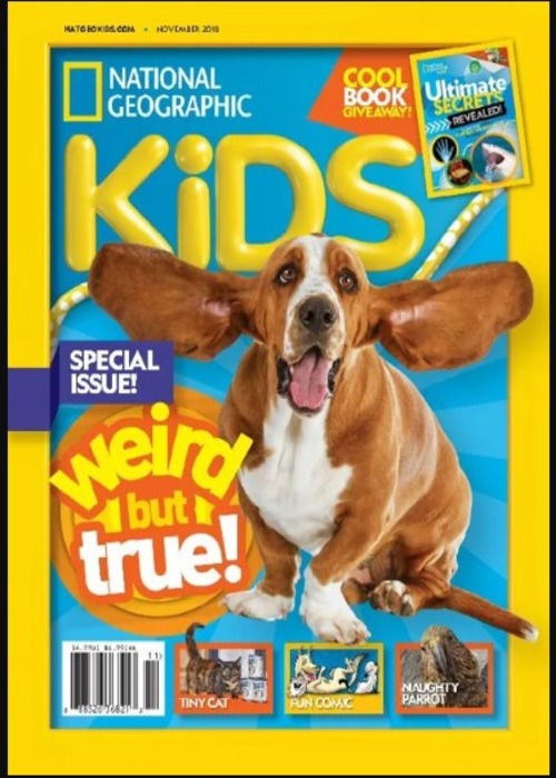 National Geographic Kids  (Nov, 2018)