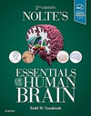 Nolte's Essentials of the Human Brain: 2ed