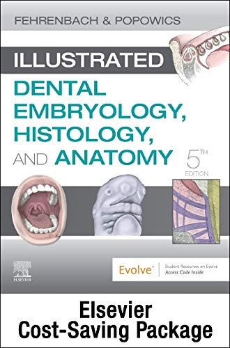 [B9780323733564] Illustrated Dental Embryology, Histology, and Anatomy - Text and Student Workbook Package: 5ed