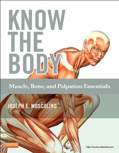 [B9780323086844] Know the Body: Muscle, Bone, and Palpation Essentials: 1ed