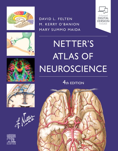 [B9780323756549] Netter's Atlas of Neuroscience:  4ed 