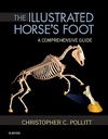 The Illustrated Horse's Foot: A comprehensive guide 1ed