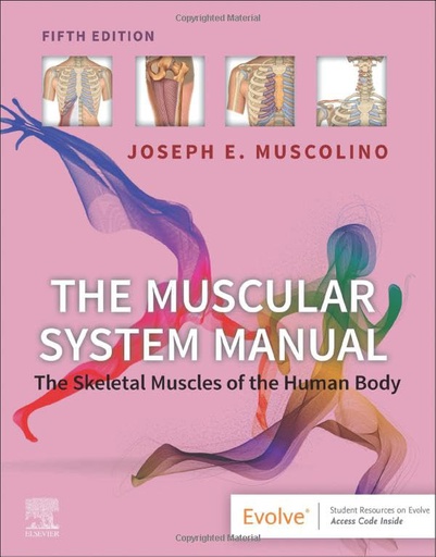 [B9780323812757] The Muscular System Manual: The Skeletal Muscles of the Human Body 5ed