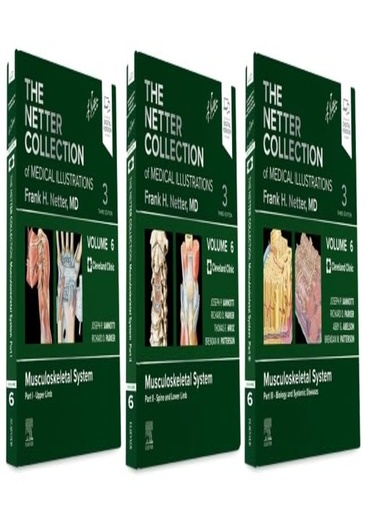 [B9780323881876] The Netter Collection of Medical Illustrations: Musculoskeletal System Package: Volume 6 3ed